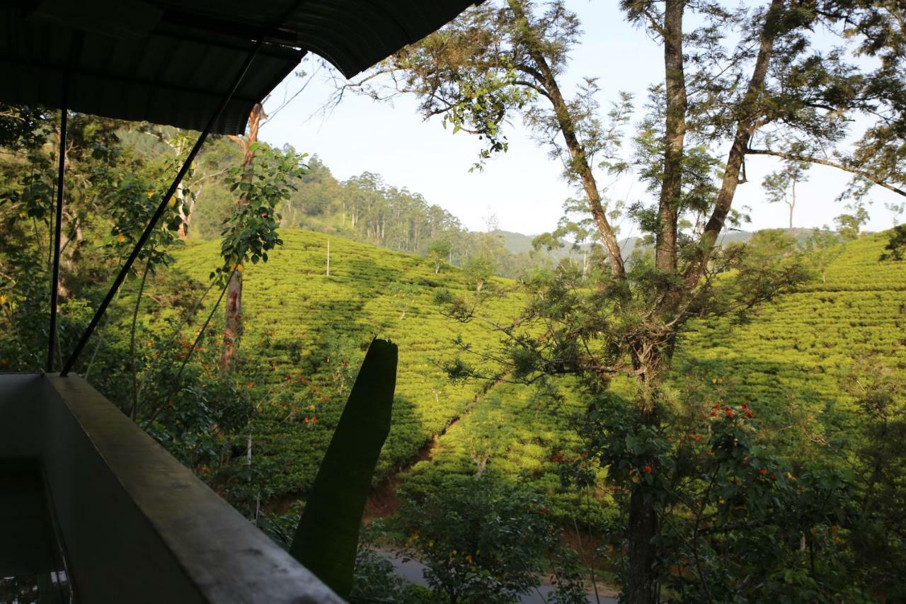 The Tea View Guest Ella Exterior foto